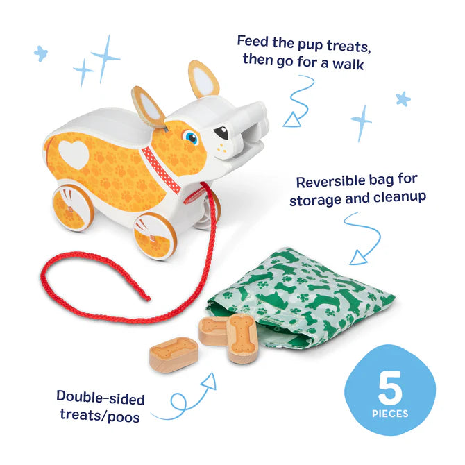 Feed, Walk, and Poo Pup Play Set