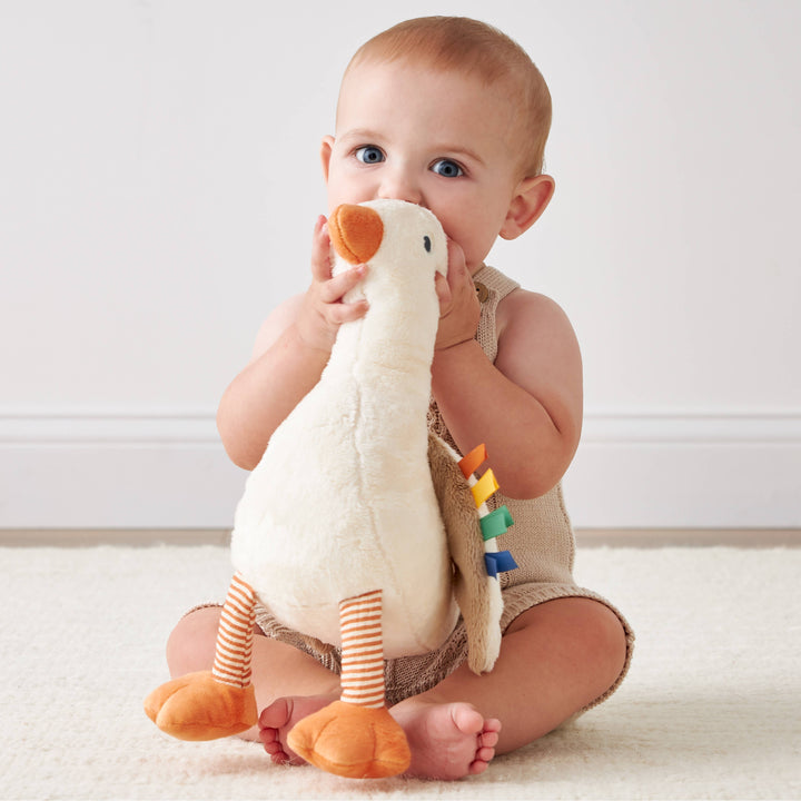 Itzy Ritzy Goose Developmental Plush