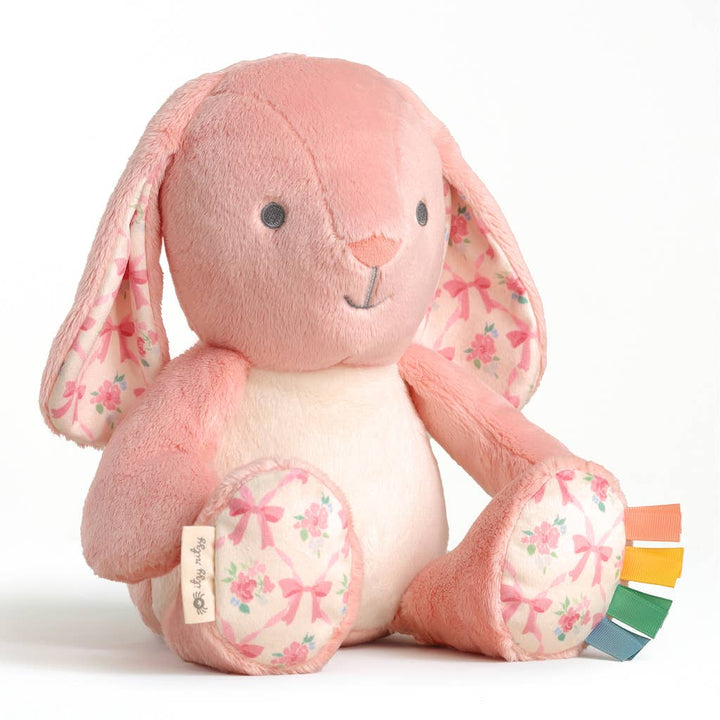 Itzy Ritzy Sweetie Snuggles™ Plush: Pink Bunny