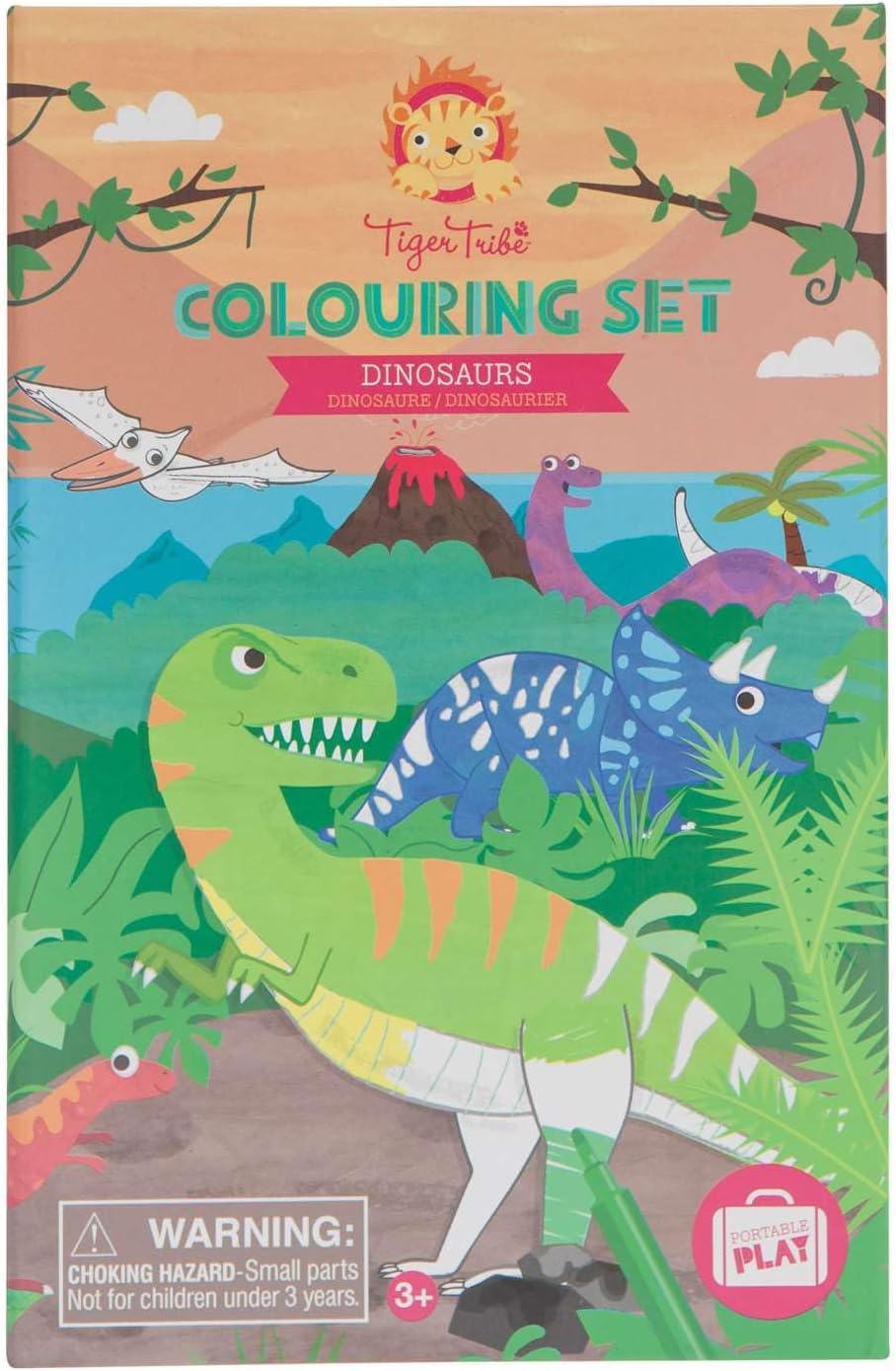Coloring Set Dinosaur