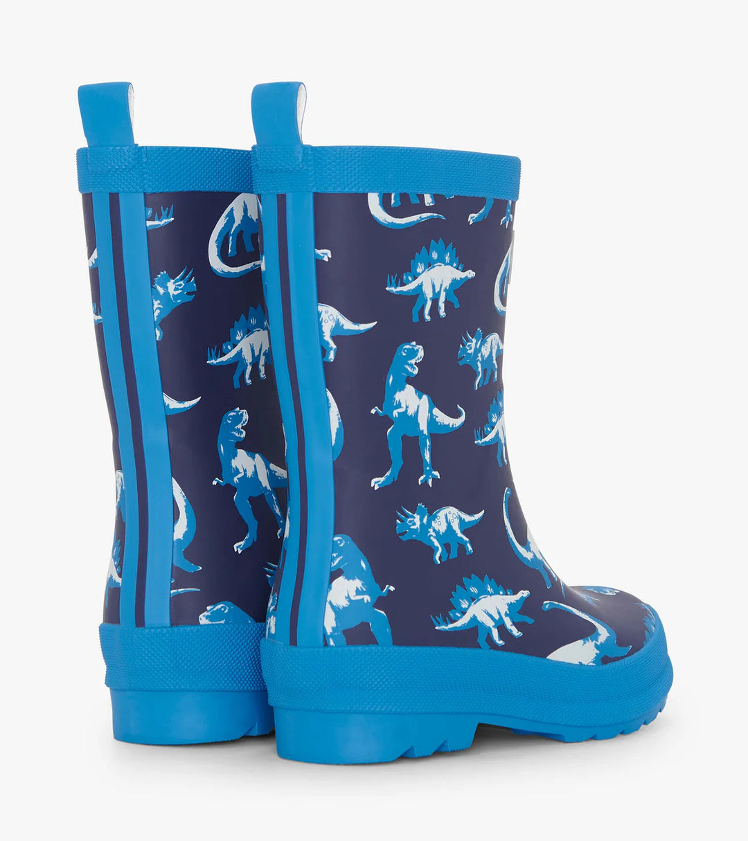 Painted Dinos Matte Rain Boots