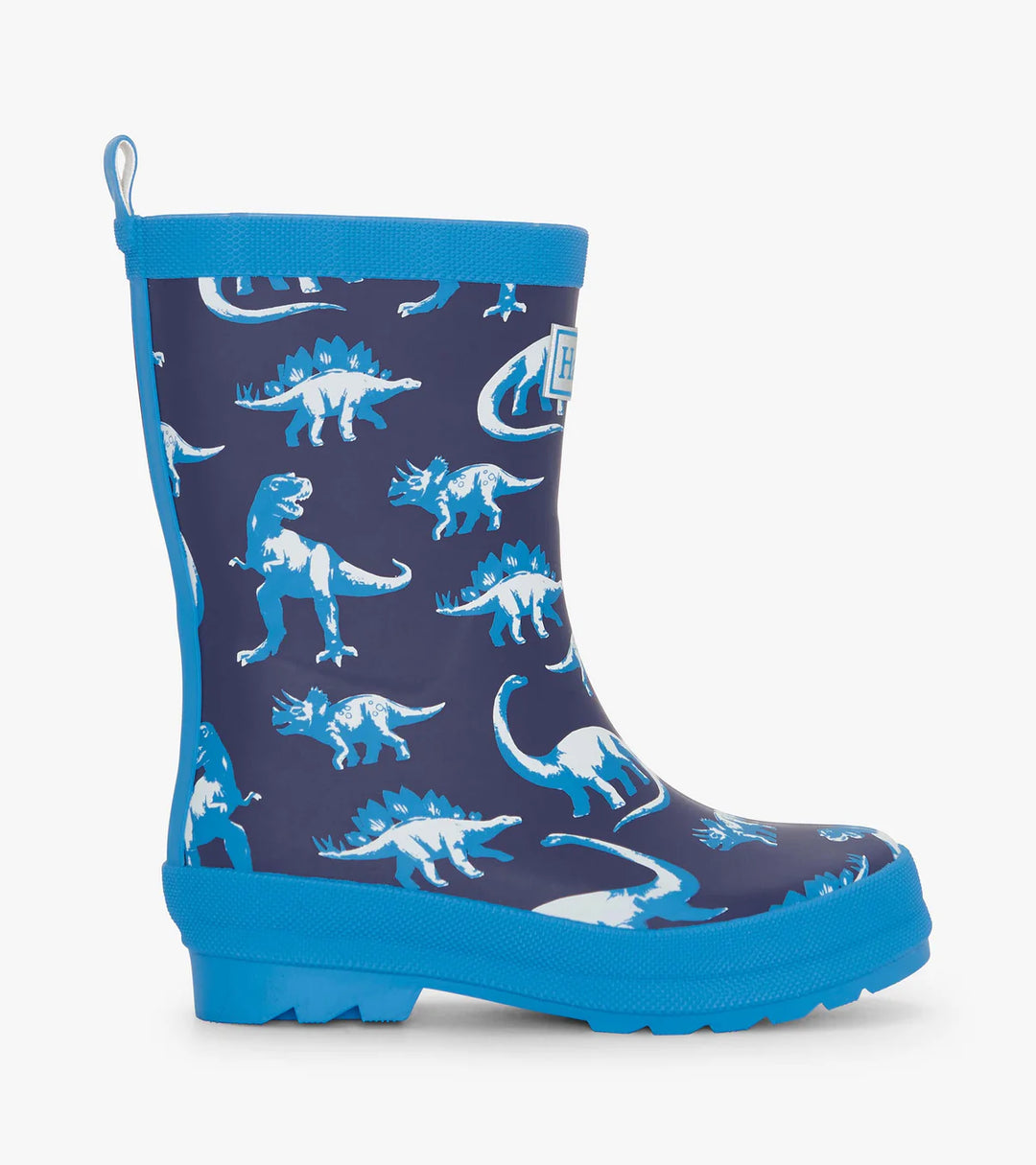 Painted Dinos Matte Rain Boots