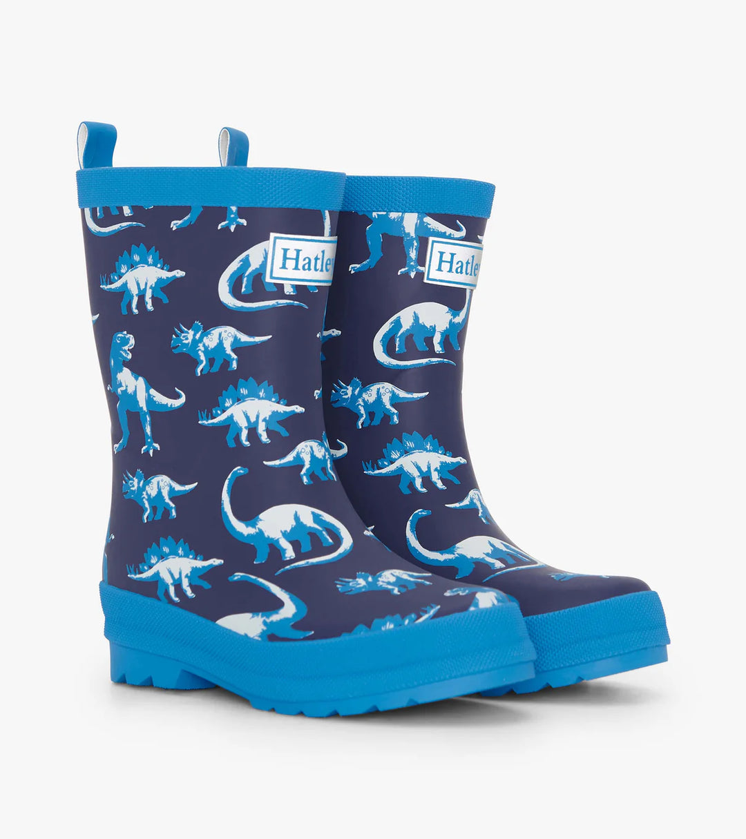 Painted Dinos Matte Rain Boots