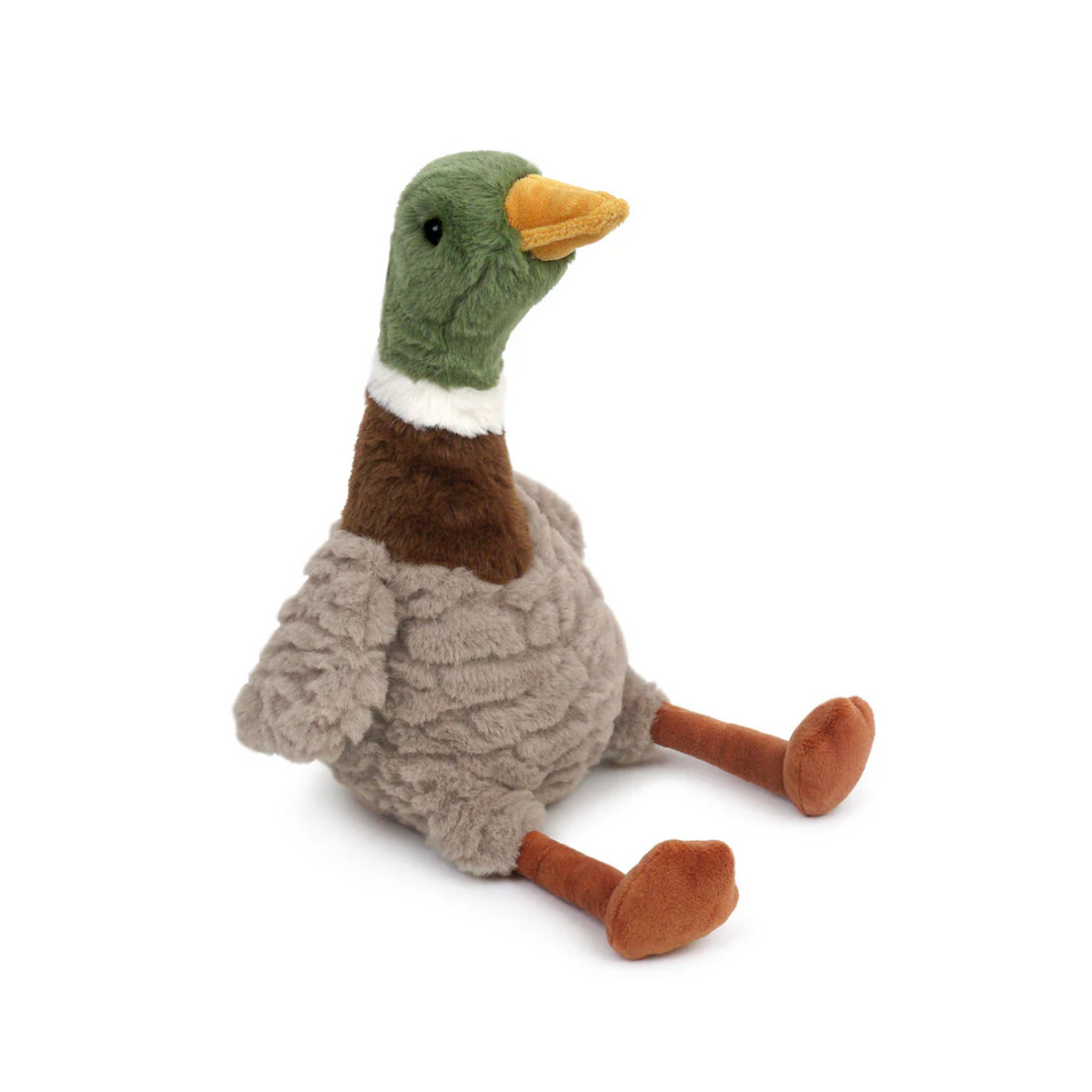 River Mallard Duck