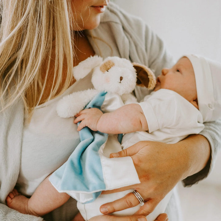 Best Friend Skipit Puppy Bye Bye Buddy