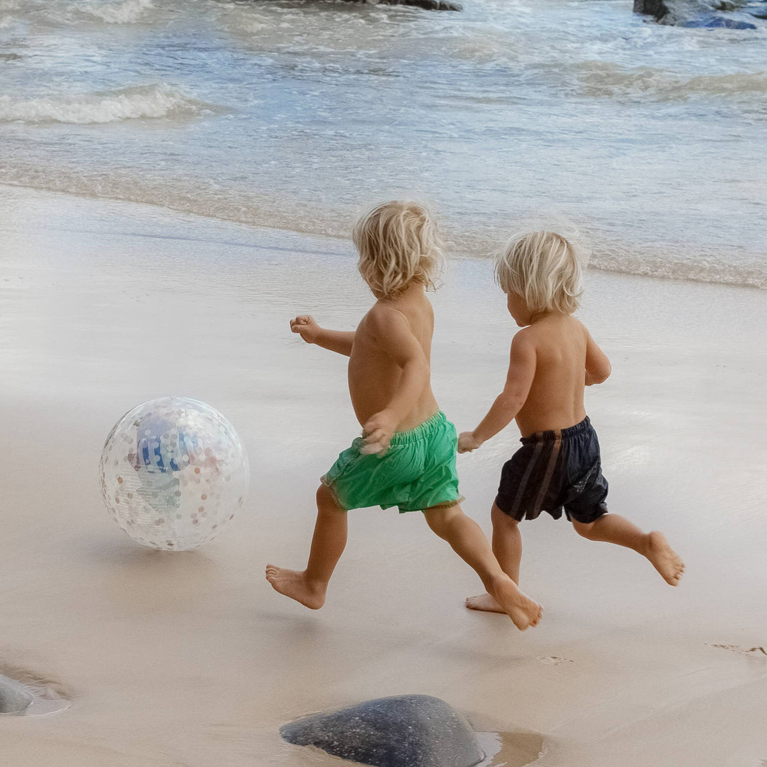 3D Inflatable Beach Ball Sid the Seagull Blue Stripe