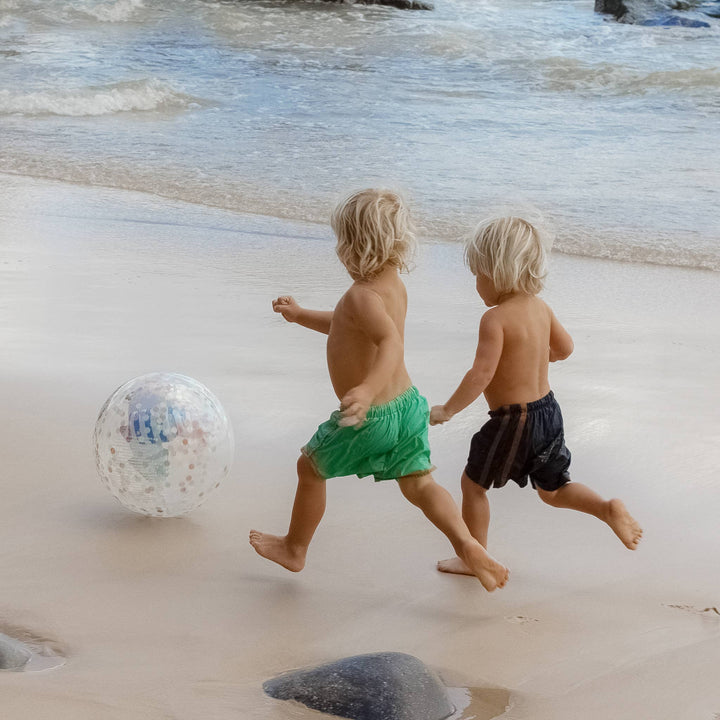 3D Inflatable Beach Ball Sid the Seagull Blue Stripe