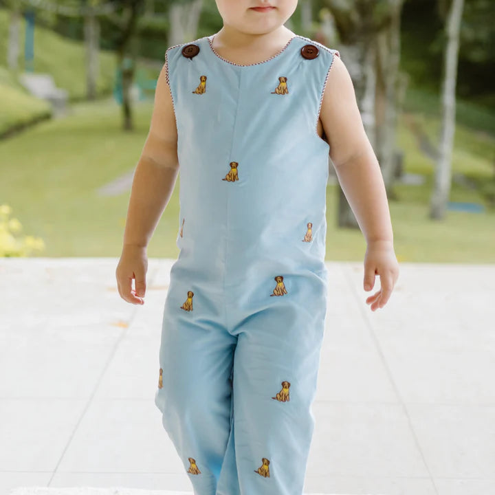 Labrador Ashton Longall