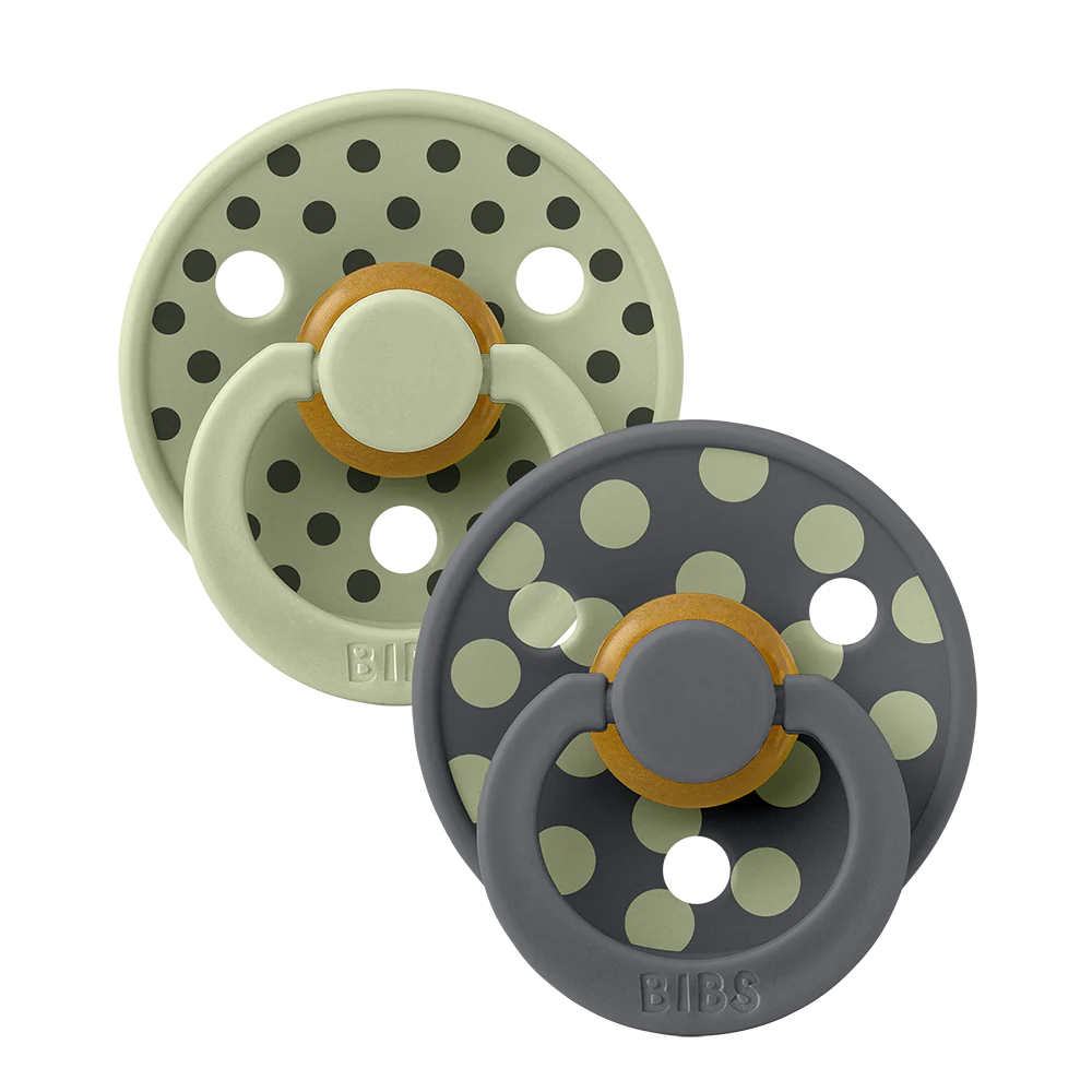 STUDIO Colour Pacifiers 2 Pack by Bibs - back view
