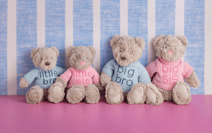 Little Sister Bear by Mud Pie - detail view