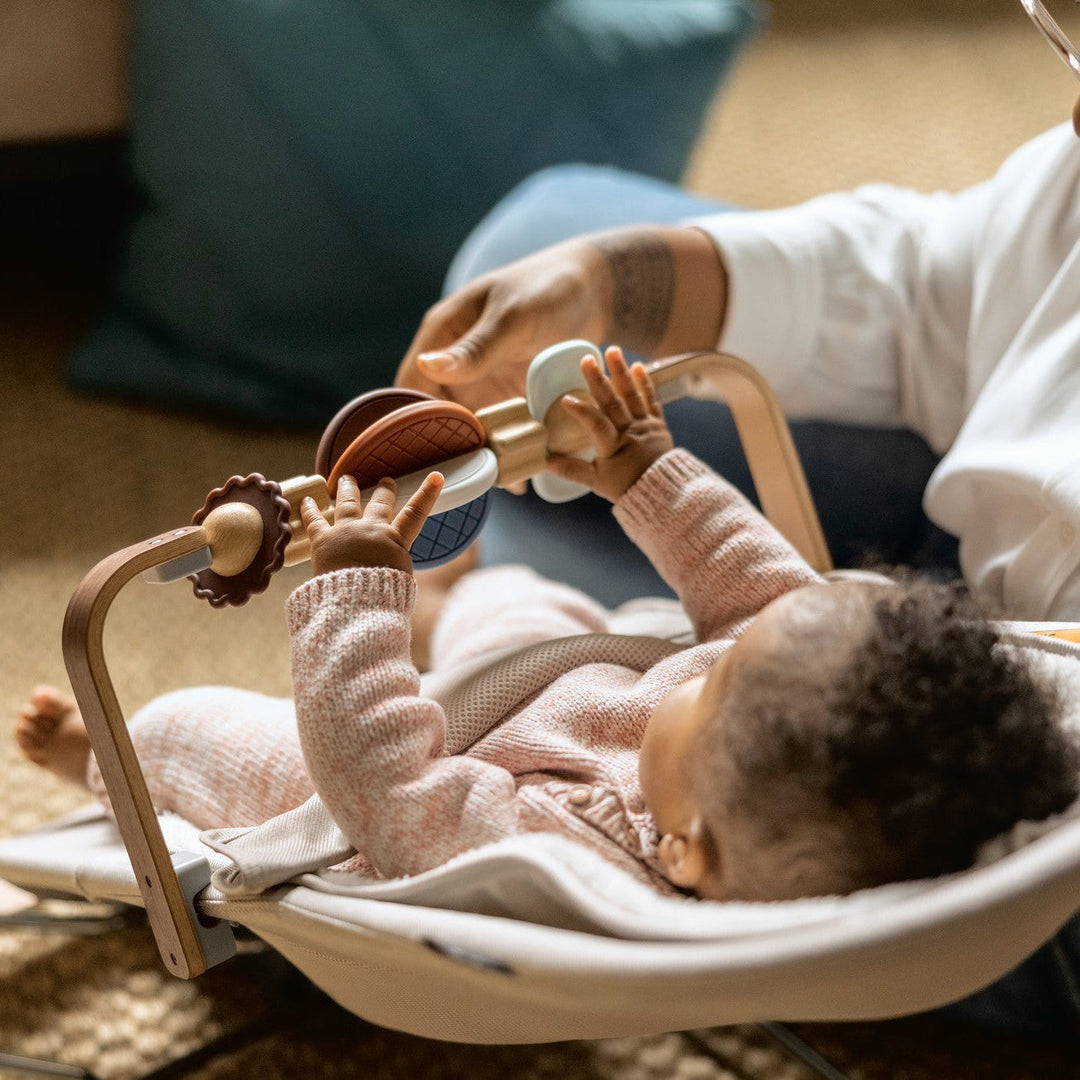 UPPAbaby Mira 2-in-1 Bouncer & Seat - product view 66
