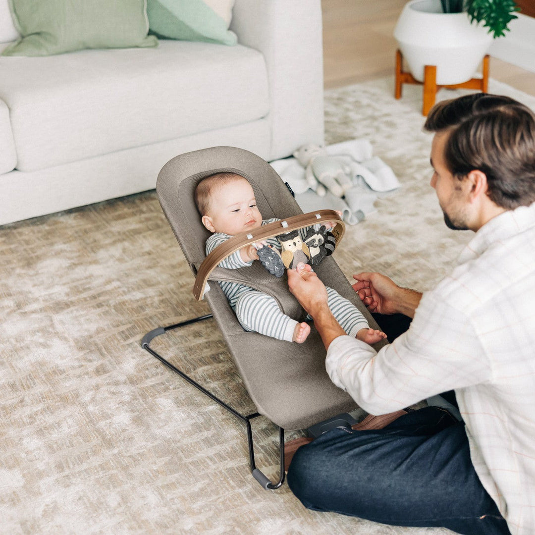 UPPAbaby Mira 2-in-1 Bouncer & Seat - product view 63