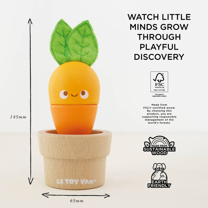 Stacking Wooden Veggies