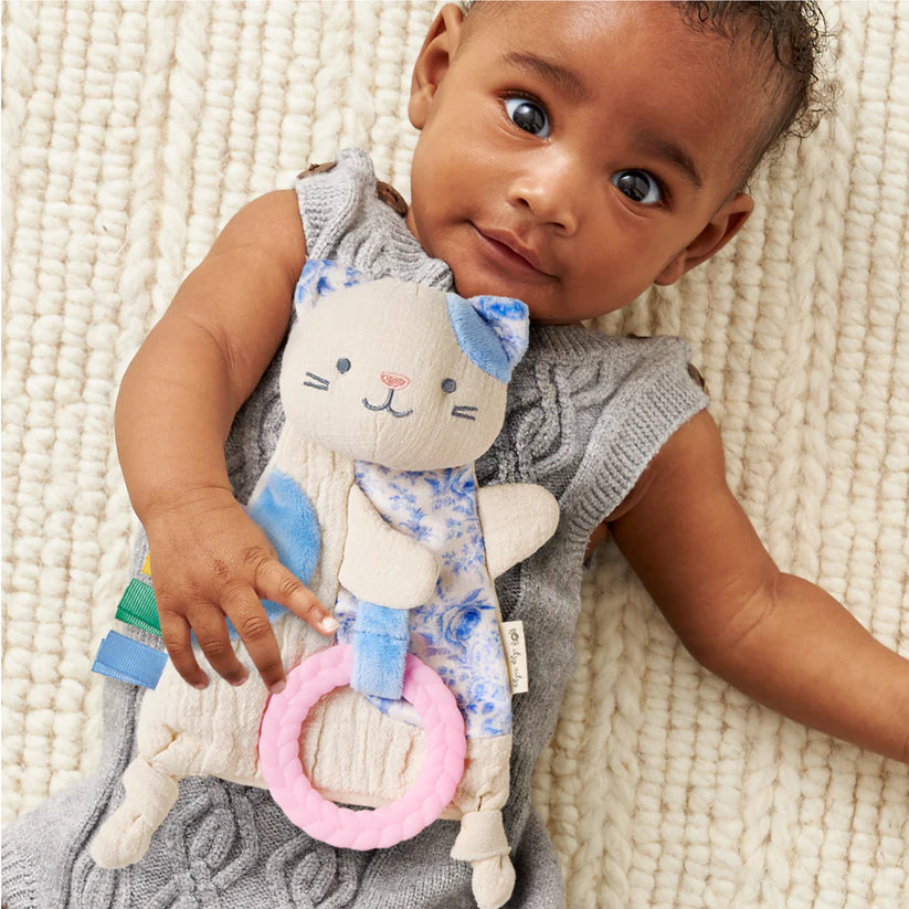 Bitzy Crinkle Kitty Teether Toy