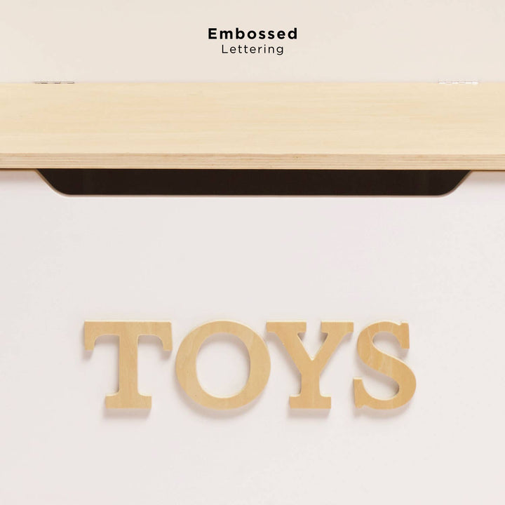 Toy Storage Box