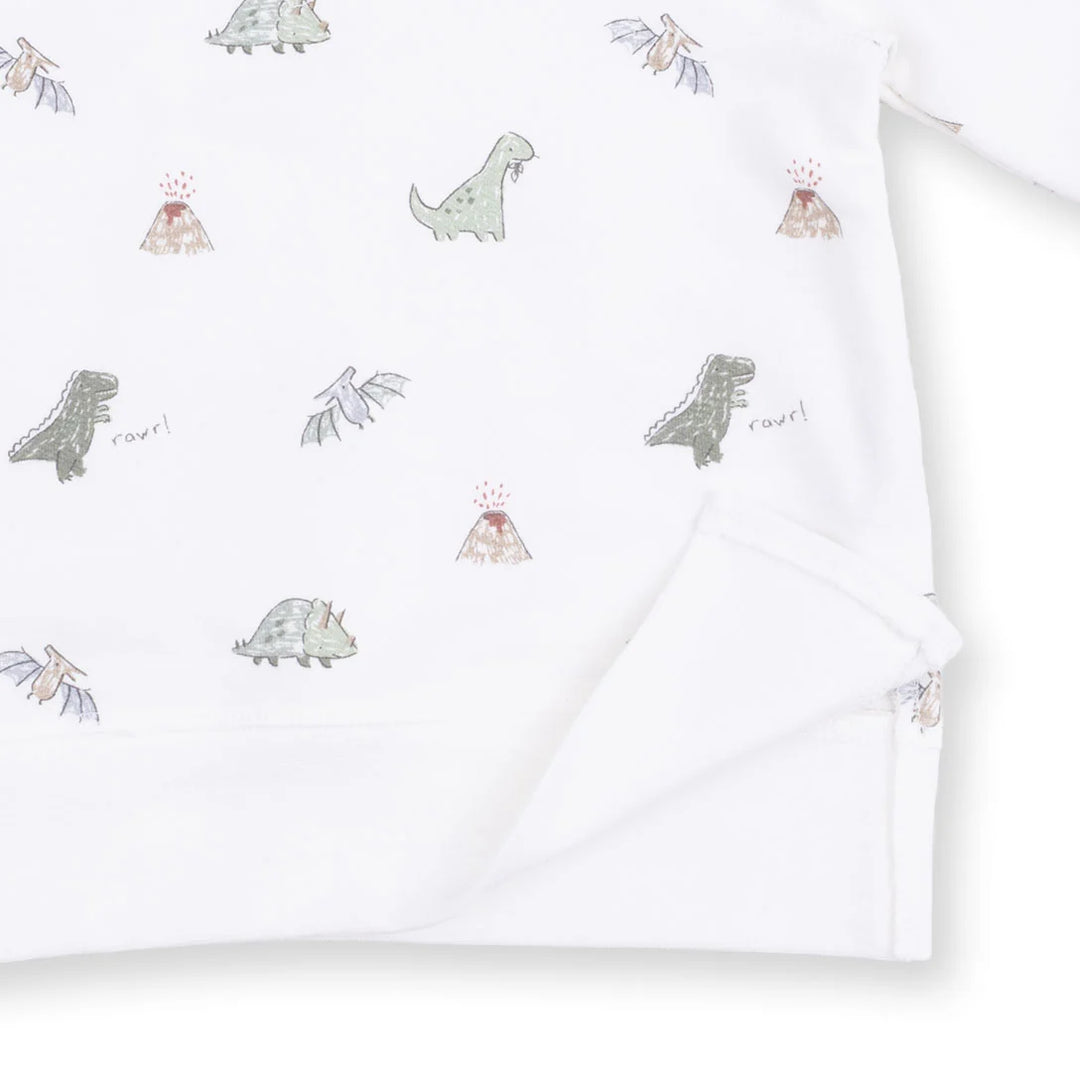 Dinos French Terry - Raglan Sweatshirt