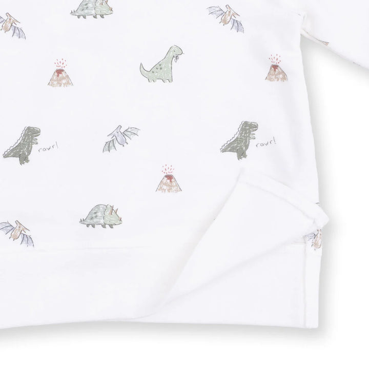 Dinos French Terry - Raglan Sweatshirt
