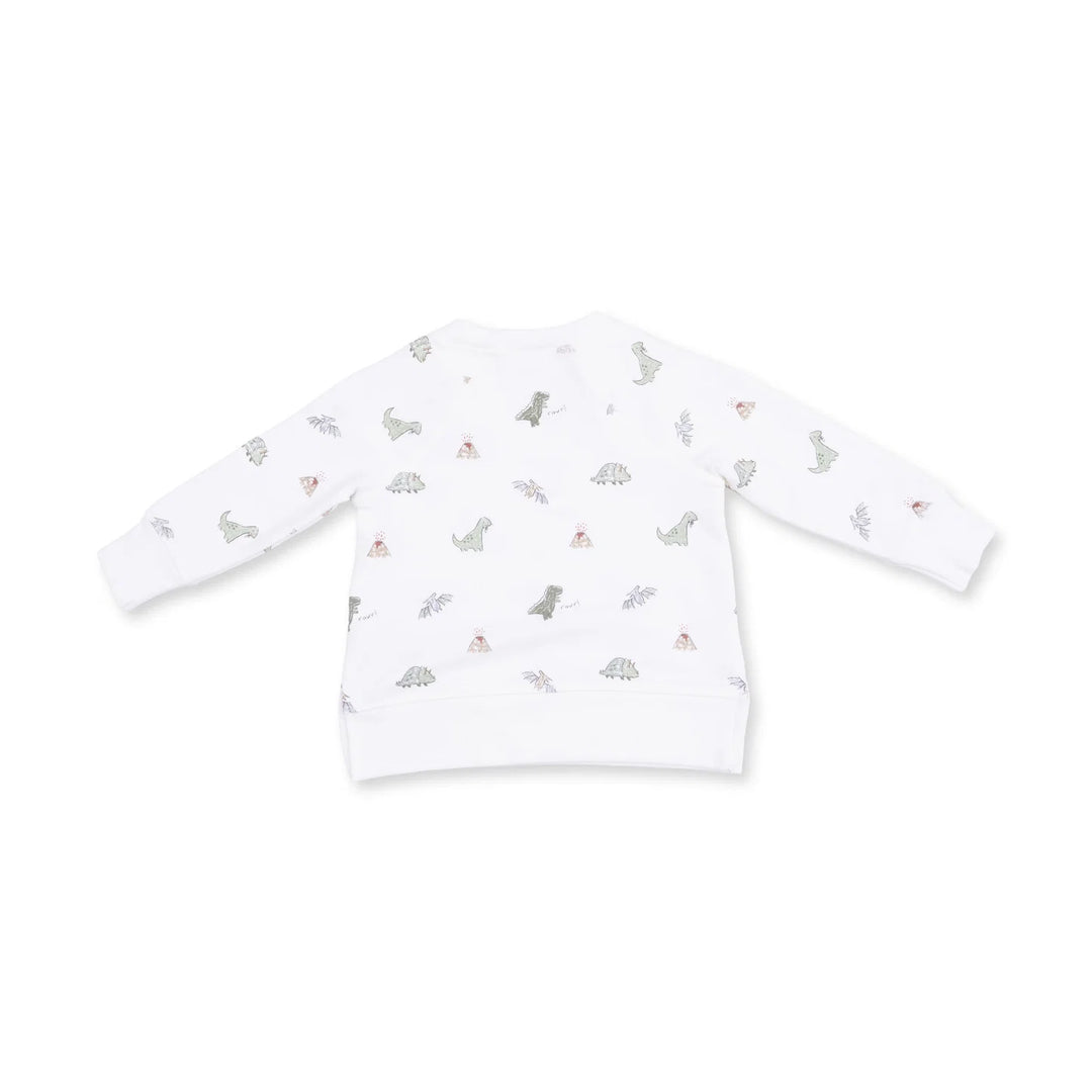 Dinos French Terry - Raglan Sweatshirt