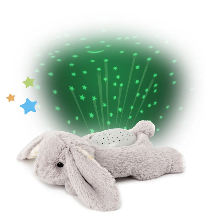 Dream Buddies- Benny Bunny by Cloud.B - back view