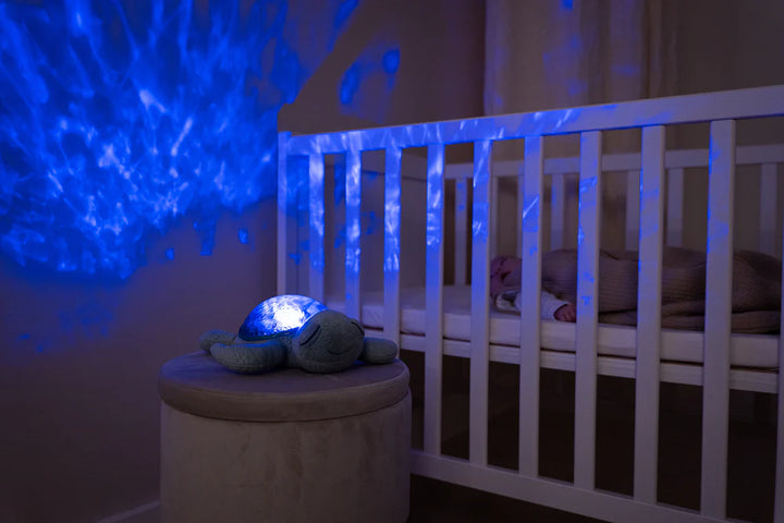 Tranquil Turtle Green