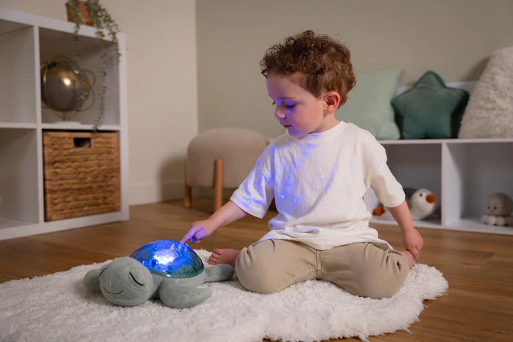 Tranquil Turtle Green