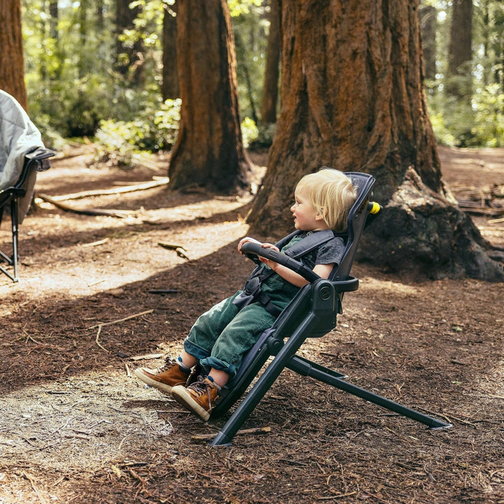 Veer &Chill Frame for Switchback Seat - alternate angle
