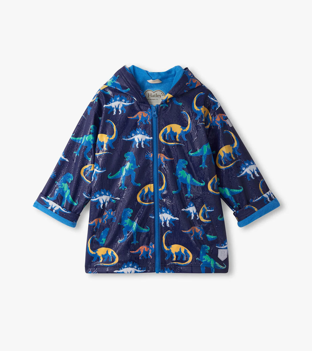 Painted Dinos Colour Chaning Rain Jacket