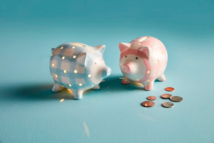 Light Up Piggy Bank