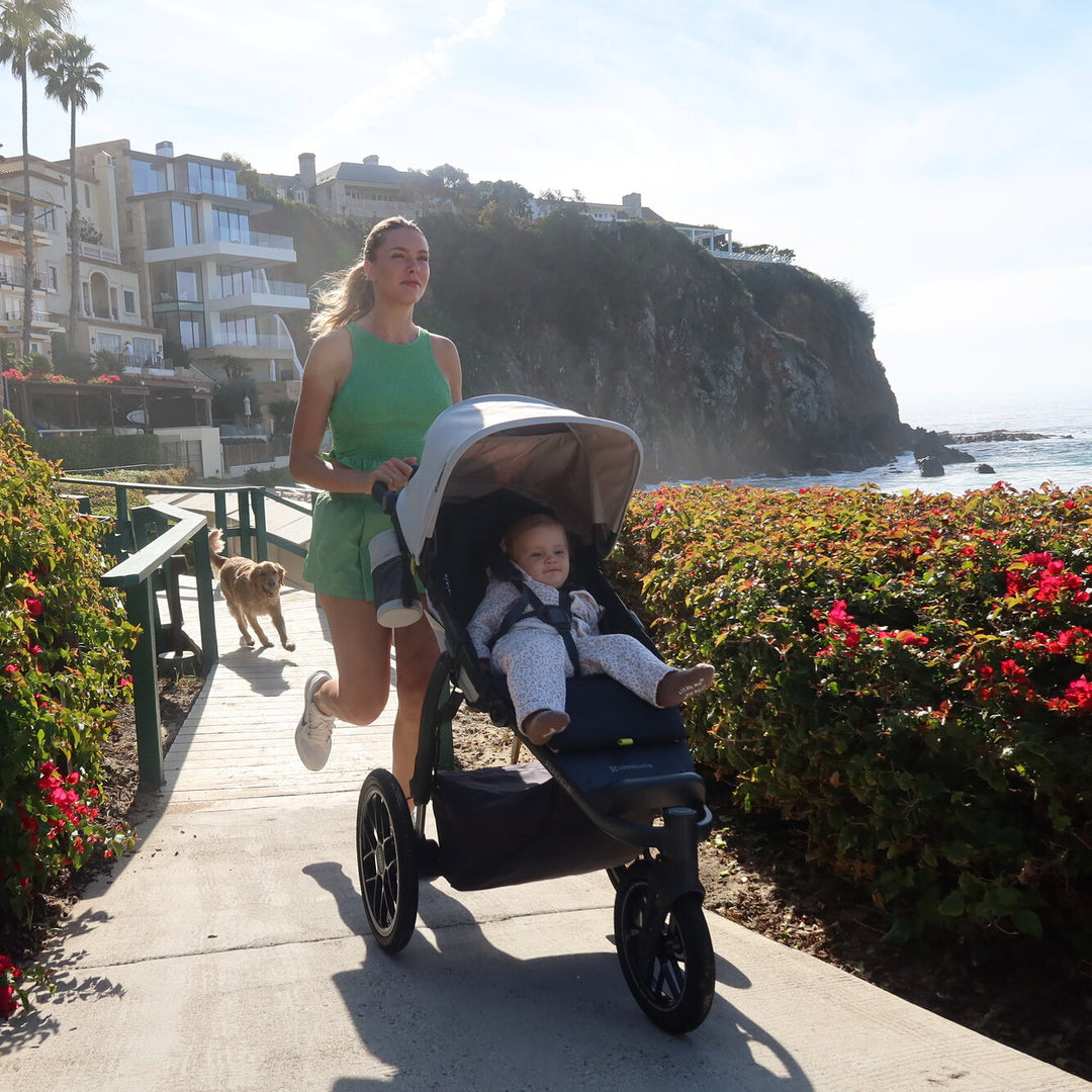 UPPAbaby Ridge V2 All-Terrain Stroller - alternate angle