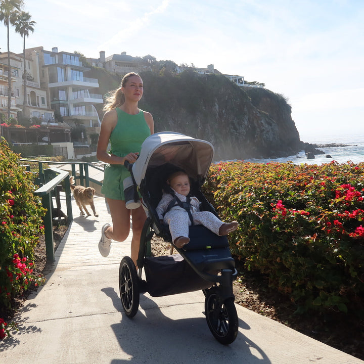 UPPAbaby Ridge V2 All-Terrain Stroller - alternate angle