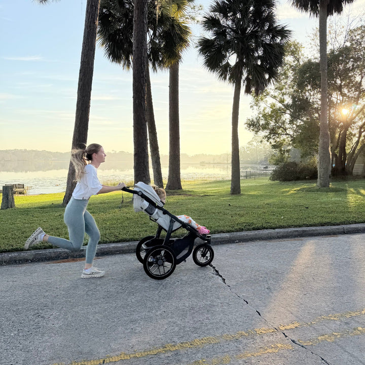 UPPAbaby Ridge V2 All-Terrain Stroller - product view 8