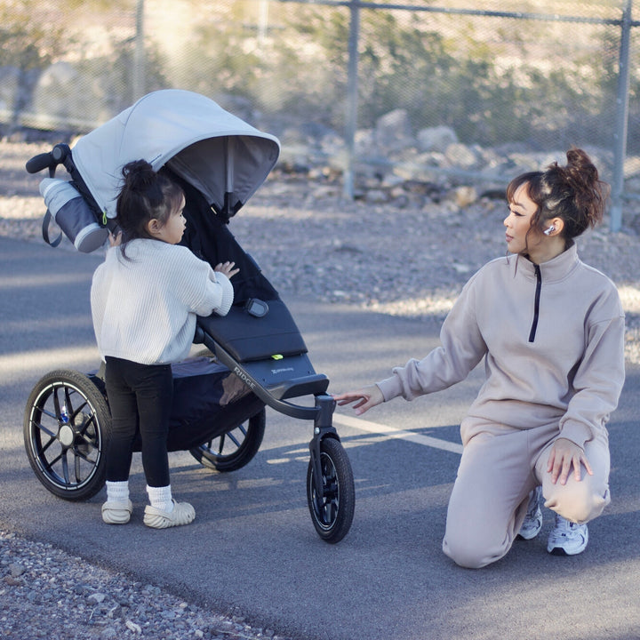 UPPAbaby Ridge V2 All-Terrain Stroller - product view 9