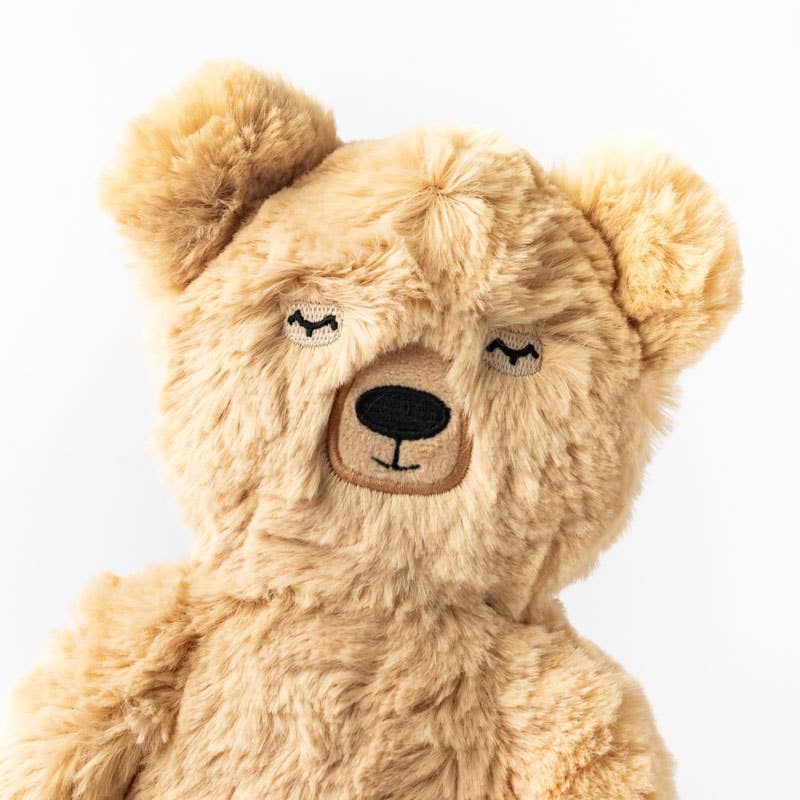 Honey Bear's Gratitude Plush Set - with 2 books! by Slumberkins Inc. - detail view