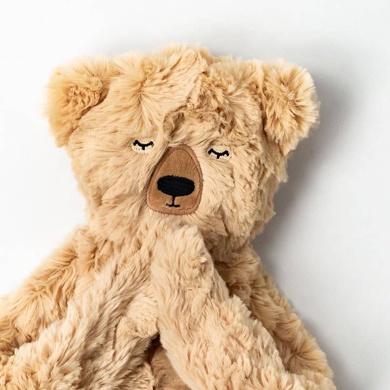 Honey Bear's Gratitude Plush Snuggler Set - with 2 books! by Slumberkins Inc. - detail view