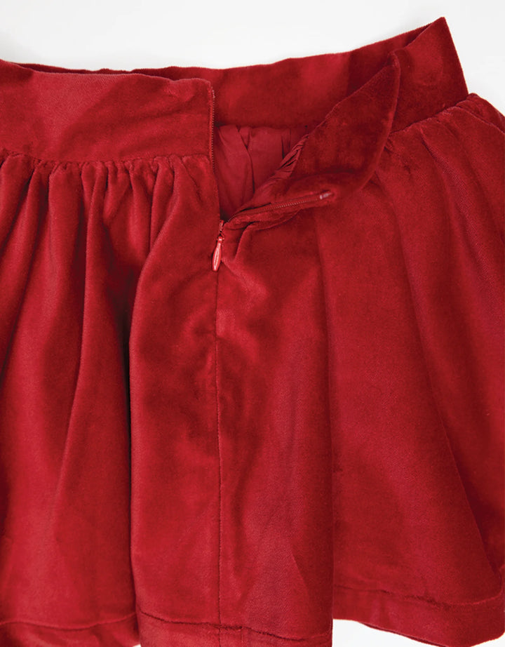 Red Velvet Skirt